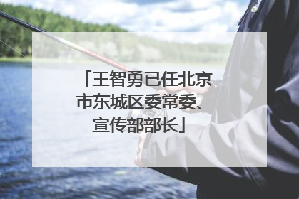 王智勇已任北京市东城区委常委、宣传部部长