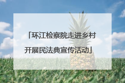 环江检察院走进乡村开展民法典宣传活动