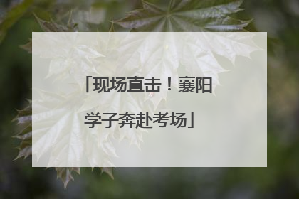 现场直击！襄阳学子奔赴考场