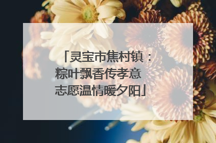 灵宝市焦村镇：粽叶飘香传孝意 志愿温情暖夕阳