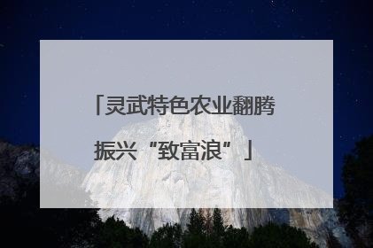 灵武特色农业翻腾振兴“致富浪”