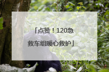 点赞！120急救车组暖心救护