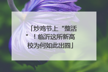 炒鸡节上“整活”！临沂这所新高校为何如此出圈