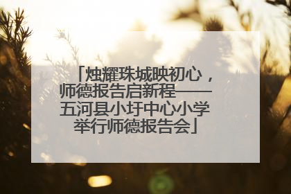 烛耀珠城映初心，师德报告启新程——五河县小圩中心小学举行师德报告会
