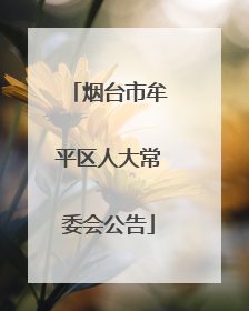 烟台市牟平区人大常委会公告