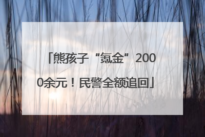 熊孩子“氪金”2000余元！民警全额追回