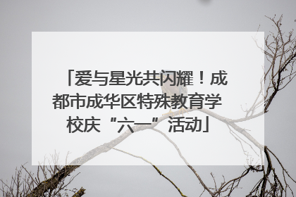 爱与星光共闪耀！成都市成华区特殊教育学校庆“六一”活动