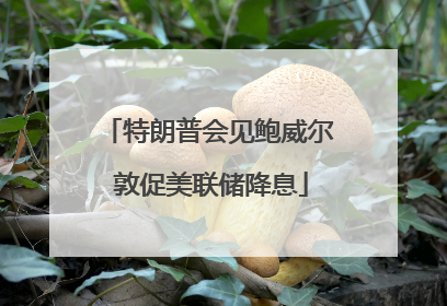 特朗普会见鲍威尔 敦促美联储降息