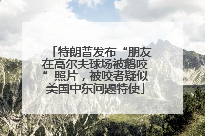 特朗普发布“朋友在高尔夫球场被鹅咬”照片，被咬者疑似美国中东问题特使