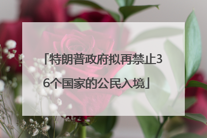 特朗普政府拟再禁止36个国家的公民入境