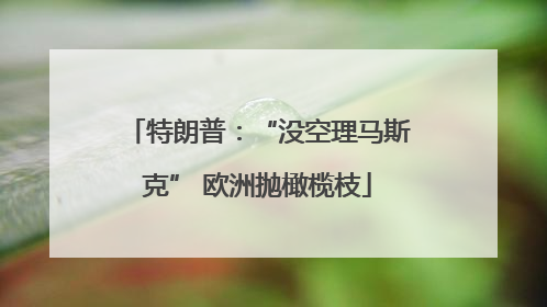 特朗普：“没空理马斯克” 欧洲抛橄榄枝