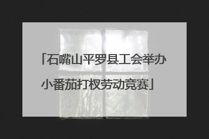 石嘴山平罗县工会举办小番茄打杈劳动竞赛
