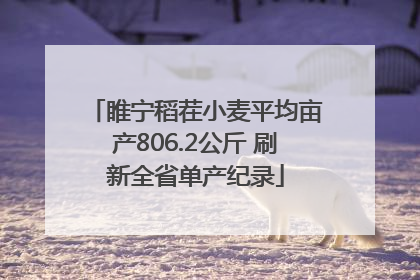 睢宁稻茬小麦平均亩产806.2公斤 刷新全省单产纪录