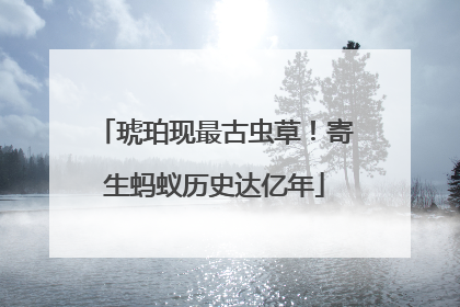 琥珀现最古虫草！寄生蚂蚁历史达亿年