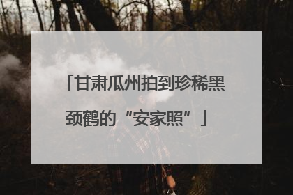 甘肃瓜州拍到珍稀黑颈鹤的“安家照”