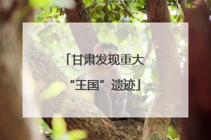 甘肃发现重大“王国”遗迹