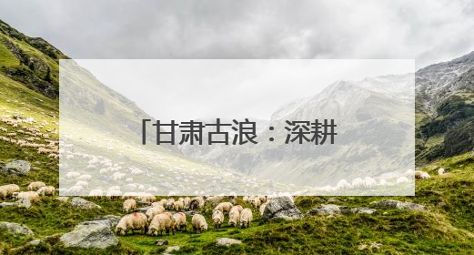 甘肃古浪：深耕治沙“织绿” 筑牢生态安全屏障
