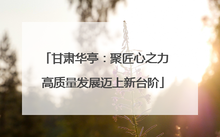 甘肃华亭：聚匠心之力 高质量发展迈上新台阶