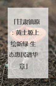 甘肃镇原：黄土塬上绘新绿 生态惠民谱华章