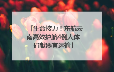 生命接力！东航云南高效护航4例人体捐献器官运输