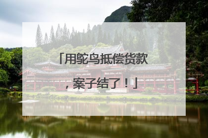 用鸵鸟抵偿货款，案子结了！
