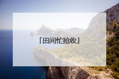 田间忙抢收