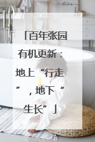 百年张园有机更新：地上“行走”，地下“生长”