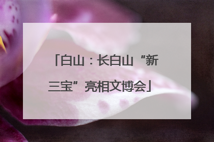 白山：长白山“新三宝”亮相文博会