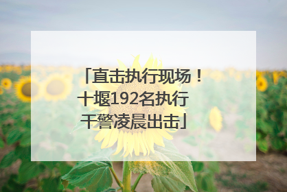 直击执行现场！十堰192名执行干警凌晨出击