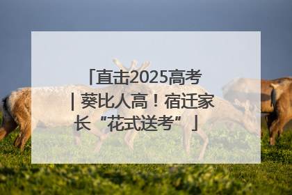 直击2025高考｜葵比人高！宿迁家长“花式送考”