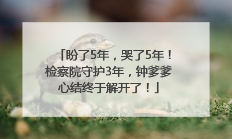 盼了5年，哭了5年！检察院守护3年，钟爹爹心结终于解开了！