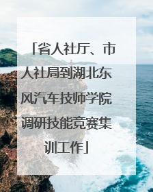 省人社厅、市人社局到湖北东风汽车技师学院调研技能竞赛集训工作