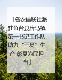 省农信联社派驻鱼台县唐马镇第一书记工作队助力“三夏”生产 彰显为民担当