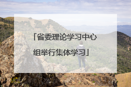 省委理论学习中心组举行集体学习