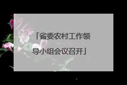 省委农村工作领导小组会议召开