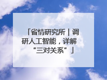 省情研究所｜调研人工智能，详解“三对关系”