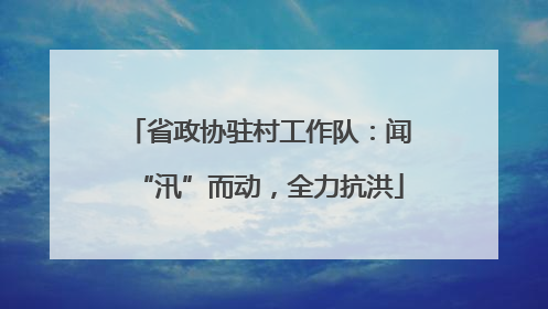 省政协驻村工作队：闻“汛”而动，全力抗洪