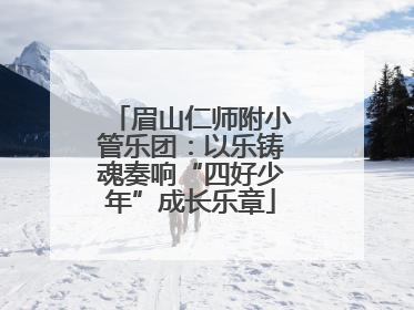 眉山仁师附小管乐团：以乐铸魂奏响“四好少年”成长乐章