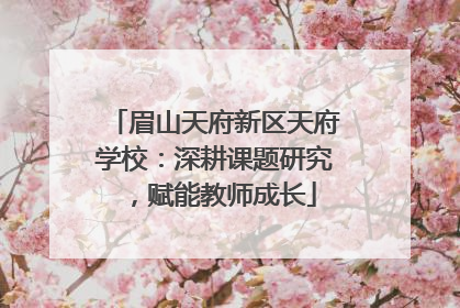 眉山天府新区天府学校：深耕课题研究，赋能教师成长