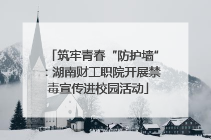 筑牢青春“防护墙”：湖南财工职院开展禁毒宣传进校园活动