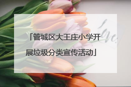 管城区大王庄小学开展垃圾分类宣传活动