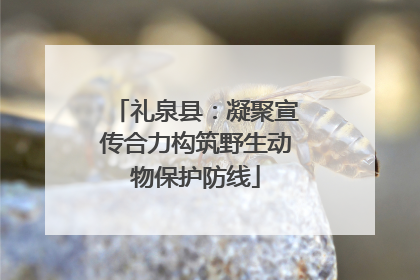 礼泉县：凝聚宣传合力构筑野生动物保护防线