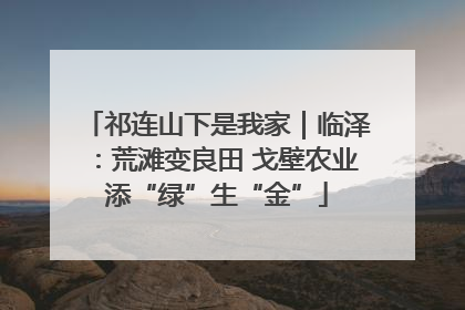 祁连山下是我家｜临泽：荒滩变良田 戈壁农业添“绿”生“金”