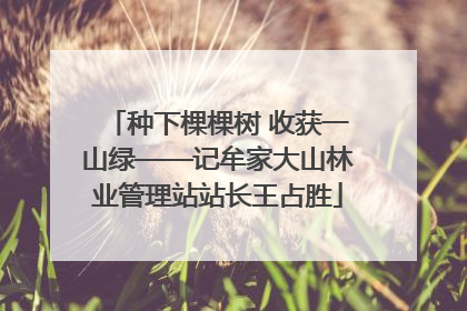 种下棵棵树 收获一山绿——记牟家大山林业管理站站长王占胜