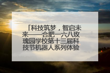 科技筑梦，智启未来——合肥一六八玫瑰园学校第十三届科技节机器人系列体验赛燃动校园