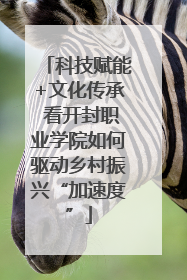 科技赋能+文化传承 看开封职业学院如何驱动乡村振兴“加速度”