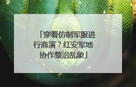 穿着仿制军服进行商演？红安军地协作整治乱象