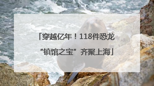 穿越亿年！118件恐龙“镇馆之宝”齐聚上海
