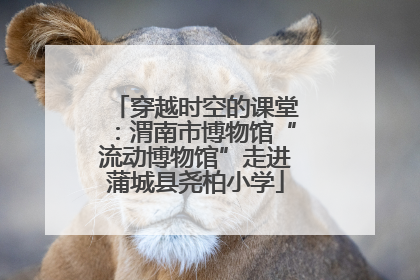 穿越时空的课堂：渭南市博物馆“流动博物馆”走进蒲城县尧柏小学