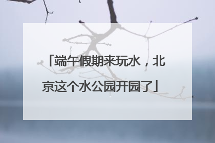 端午假期来玩水，北京这个水公园开园了